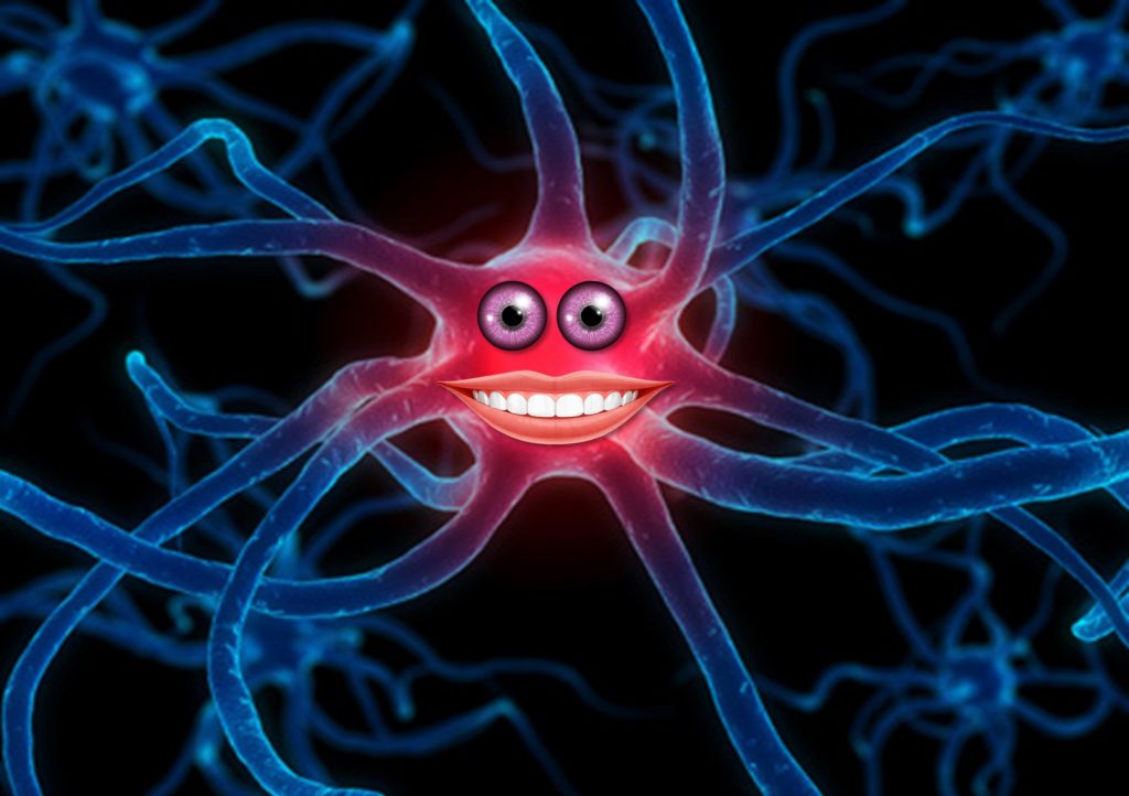 happy neuron