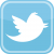 Logo twitter-4